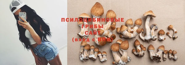 spice Балахна