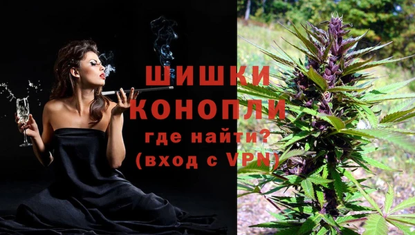 дживик Баксан